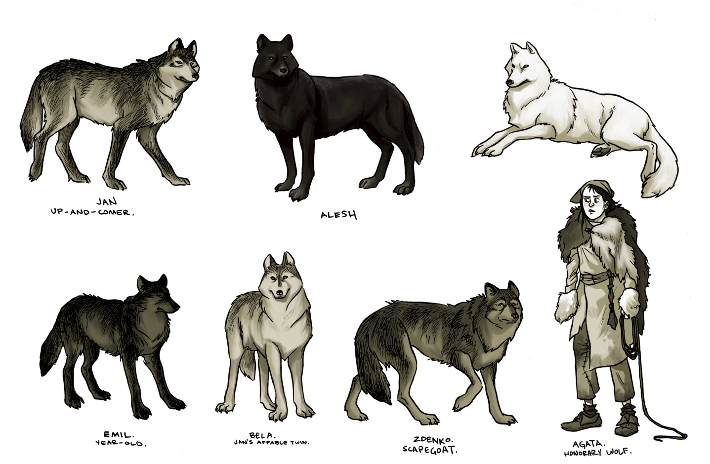 Как отличить волка